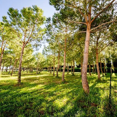 Agriturismo Bio San Mamiliano Grosseto Exteriör bild